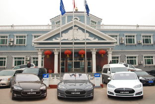 中進汽車租賃穩(wěn)步推進新能源汽車租賃業(yè)務(wù)